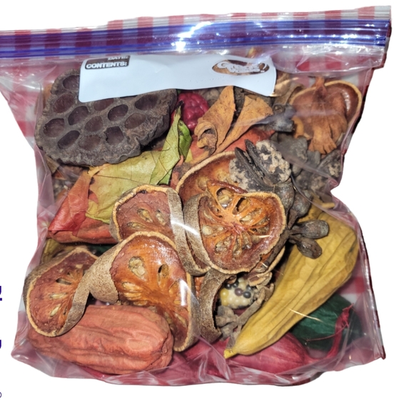 Dried Various Items Aprox 50 Items ( 1" to 4" each) - Picture 7 of 7